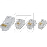EGB<br>Modular Stecker 6/6 RJ 12<br>-Preis für 10 Stück<br>Artikel-Nr: 235270