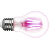 LIGHTME<br>LED plant lamp Classic A60 4.0W/E27 LM-85320-2<br>Article-No: 526865