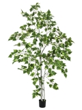 EUROPALMS<br>Birkenbaum, Kunstpflanze, 180cm<br>Artikel-Nr: 82505231