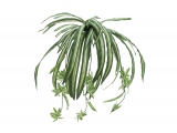 EUROPALMS<br>Grünlilie, künstlich, 60cm