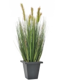 EUROPALMS<br>Moor-grass in pot, artificial, 60cm