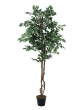 EUROPALMS<br>Silberficus-Benjamini, Kunstpflanze, 180cm<br>Artikel-Nr: 82506116