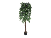EUROPALMS<br>Ficus-Benjamini Multi-Stamm, Kunstpflanze, 180cm<br>Artikel-Nr: 82506126