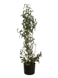 EUROPALMS<br>Olivenbäumchen, Kunstpflanze, 104 cm<br>Artikel-Nr: 82506423