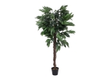 EUROPALMS<br>Dschungelbaum Mango, Kunstpflanze, 150cm<br>Artikel-Nr: 82506725