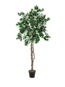 EUROPALMS<br>Bougainvillea, Kunstpflanze, weiß, 150cm<br>Artikel-Nr: 82507085
