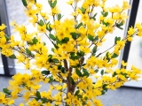 EUROPALMSForsythienbaum mit 3 Stämmen, Kunstpflanze, gelb, 150cmArtikel-Nr: 82507102