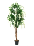 EUROPALMS<br>Wisteria, artificial plant, white, 150cm<br>Article-No: 82507105