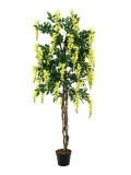 EUROPALMS<br>Goldregenbaum, Kunstpflanze, gelb, 150cm<br>Artikel-Nr: 82507115