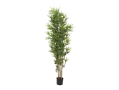 EUROPALMS<br>Bambus deluxe, Kunstpflanze, 180cm