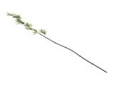 EUROPALMS<br>Bambusstab mit Blättern, künstlich, 180cm, 6er Pack