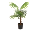 EUROPALMS<br>Fan palm, artificial plant, 88cm<br>Article-No: 82509301