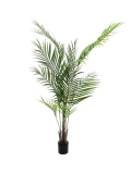 EUROPALMS<br>Großblatt-Areca, Kunstpflanze, 165cm