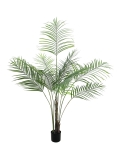 EUROPALMS<br>Großblatt-Areca, Kunstpflanze, 185cm