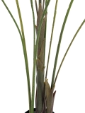 EUROPALMSGroßblatt-Areca, Kunstpflanze, 185cm