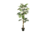 EUROPALMS<br>Parlour Palme, Kunstpflanze, 150cm