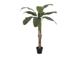EUROPALMS<br>Bananenbaum, Kunstpflanze, 145cm<br>Artikel-Nr: 82509504