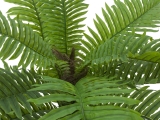 EUROPALMSCycas Palme, Kunstpflanze, 70cm
