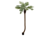 EUROPALMS<br>Phoenix palm tree luxor curved, artificial plant, 240cm