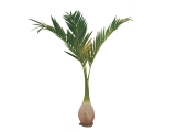 EUROPALMS<br>Phönix Palme, Kunstpflanze, 240cm