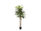 EUROPALMS<br>Kentia Palme, Kunstpflanze, 150cm