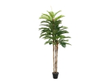 EUROPALMS<br>Kentia Palme, Kunstpflanze, 180cm
