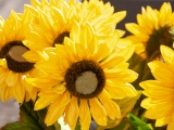 EUROPALMSSonnenblume, Kunstpflanze, 70cmArtikel-Nr: 82522097