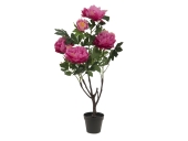 EUROPALMS<br>Peonies, rose, artificial plant, 90cm<br>Article-No: 82523011