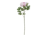 EUROPALMS<br>Pfingstrosenzweig Classic, Kunstpflanze, pink, 80cm<br>Artikel-Nr: 82530210
