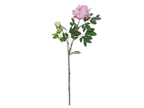 EUROPALMS<br>Pfingstrosenzweig Premium, Kunstpflanze, pink, 100cm<br>Artikel-Nr: 82530220
