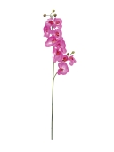 EUROPALMS<br>Orchid branch, artificial, purple, 100cm<br>Article-No: 82530322