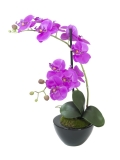 EUROPALMS<br>Orchideen-Arrangement 4, künstlich<br>Artikel-Nr: 82530349