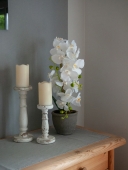EUROPALMSOrchidee, Kunstpflanze, weiß, 80cmArtikel-Nr: 82530362