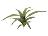 EUROPALMS<br>Aloe (EVA), künstlich, grün, 66cm<br>Artikel-Nr: 82530571