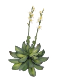 EUROPALMS<br>Steinrose (EVA), Kunstpflanze, gelb, 32cm<br>Artikel-Nr: 82530573