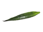 EUROPALMS<br>Aloeblatt (EVA), künstlich, grün, 60cm<br>Artikel-Nr: 82530581