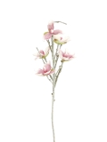 EUROPALMS<br>Magnolienzweig (EVA), künstlich, weiß-rosa<br>Artikel-Nr: 82530587