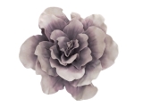EUROPALMSRiesen-Blüte (EVA), künstlich, rose, 80cmArtikel-Nr: 82531069
