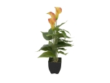 EUROPALMS<br>Calla mini, Kunstpflanze, gelb orange, 43cm<br>Artikel-Nr: 82540346