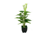 EUROPALMS<br>Calla mini, Kunstpflanze, weiß, 43cm<br>Artikel-Nr: 82540347