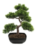 EUROPALMS<br>Bonsai-Pinie, Kunstpflanze, 50cm<br>Artikel-Nr: 82600110