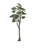EUROPALMS<br>Pothosbaum, Kunstpflanze, 150cm