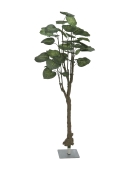 EUROPALMS<br>Pothosbaum, Kunstpflanze, 175cm