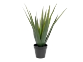 EUROPALMS<br>Aloe-Vera Pflanze, Kunstpflanze, 60cm<br>Artikel-Nr: 82600167