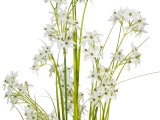EUROPALMSJasmingras, Kunstpflanze, weiß, 130 cm