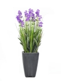 EUROPALMS<br>Lavendel, Kunstpflanze, lila, im Dekotopf, 45cm