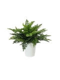 EUROPALMS<br>Farnbusch im Dekotopf, Kunstpflanze, 51 Blätter, 48cm<br>Artikel-Nr: 82600215