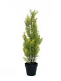 EUROPALMS<br>Zypresse, Leyland, Kunstpflanze, 60cm<br>Artikel-Nr: 82606959