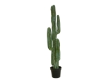 EUROPALMS<br>Mexikanischer Kaktus, Kunstpflanze, grün, 123cm<br>Artikel-Nr: 82801072