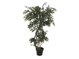 EUROPALMS<br>Ficus Multi Spiralstamm, Kunstpflanze, 130cm<br>Artikel-Nr: 82806314
